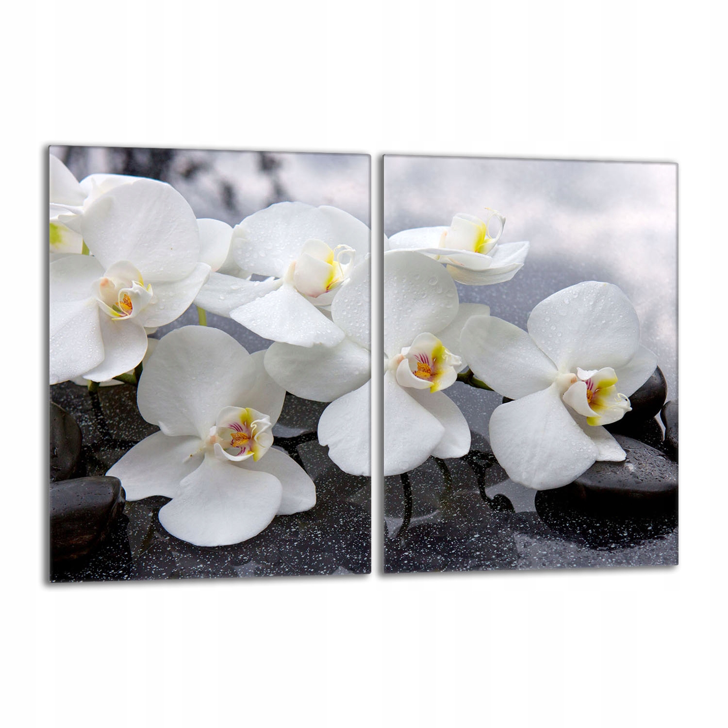 Skleněná ochranná deska na sporák 40x52 Orchidej Do Kuchyně