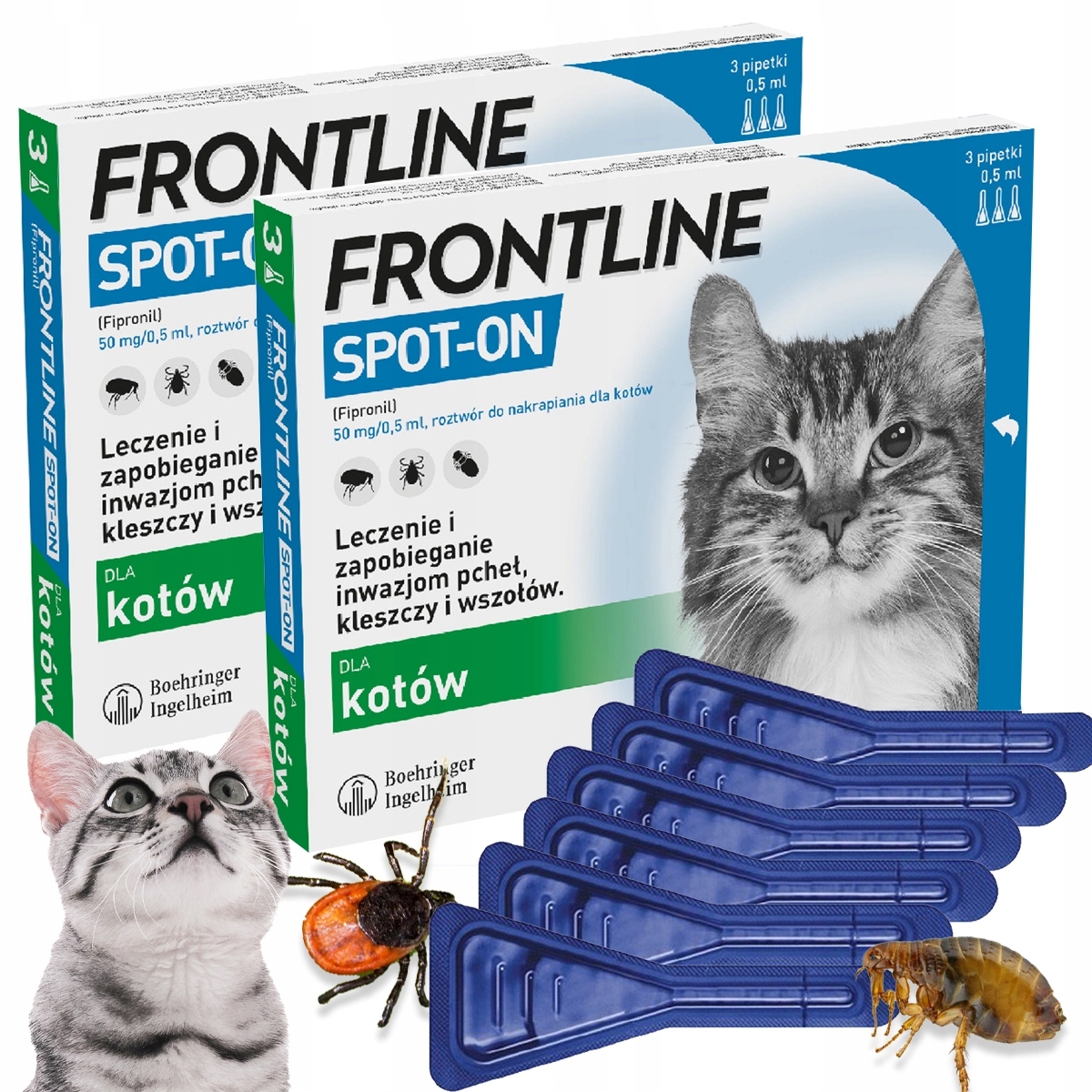 Krople na Kleszcze Pchły dla Kota Frontline Spot-on x6 Pipet na 180 Dni