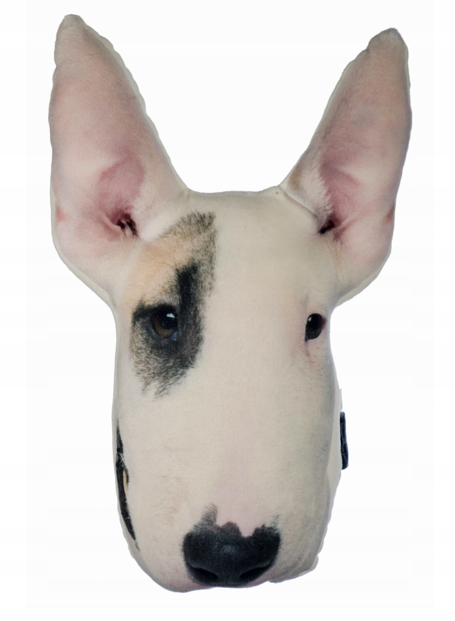 

Poduszka 3D poducha z psem Bulterier