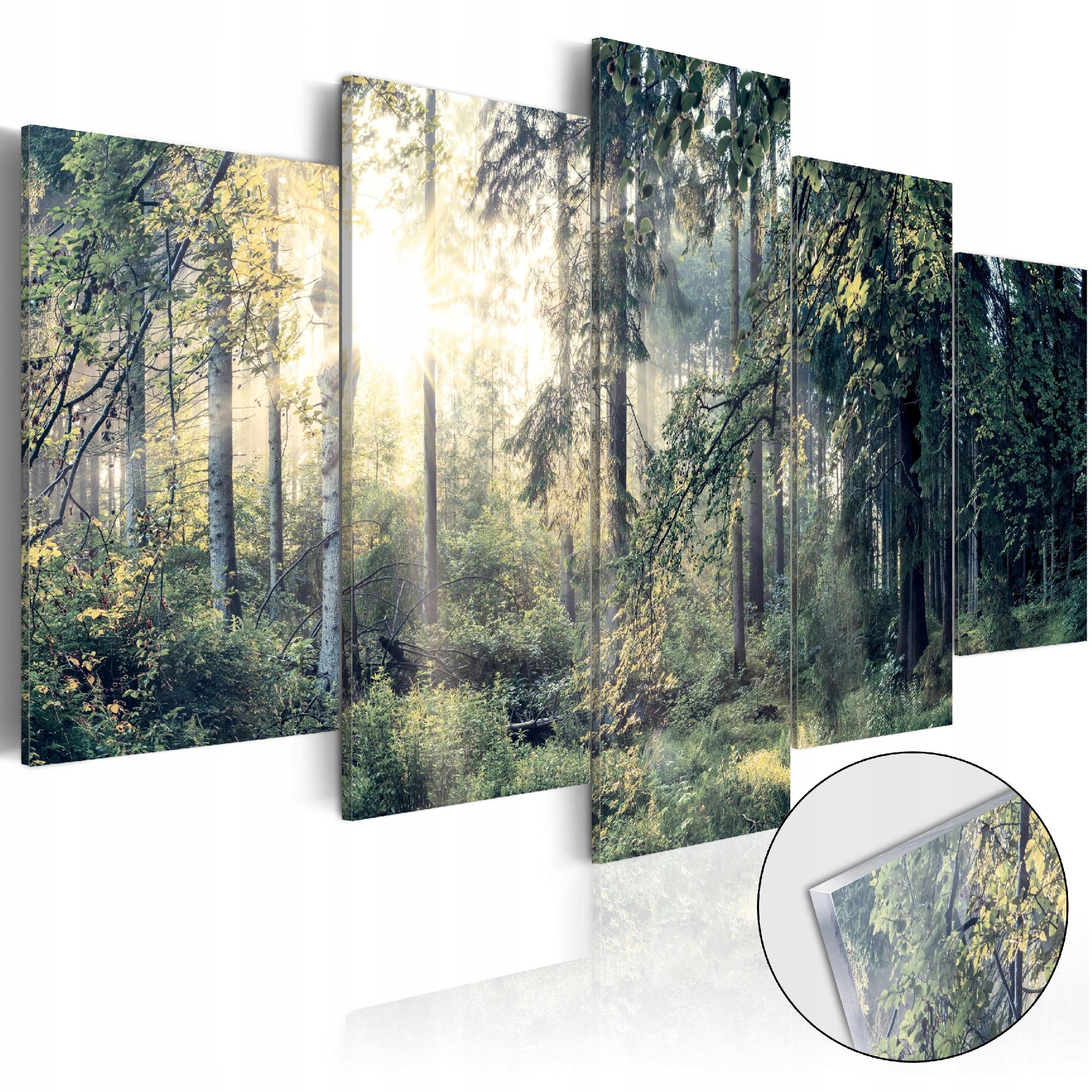 Obraz Na Skle 5 Dílů Triptych Příroda Les Krajina Do Koupelny XL 200x100