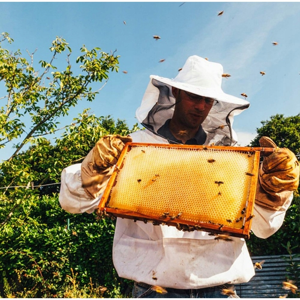 PROFESJONALNA KURTKA OCHRONNA DLA PSZCZELARSTWA Z RĘKAWICZKAMI SZCZOTKĄ Kod producenta KOMBINEZON PSZCZELARSKI