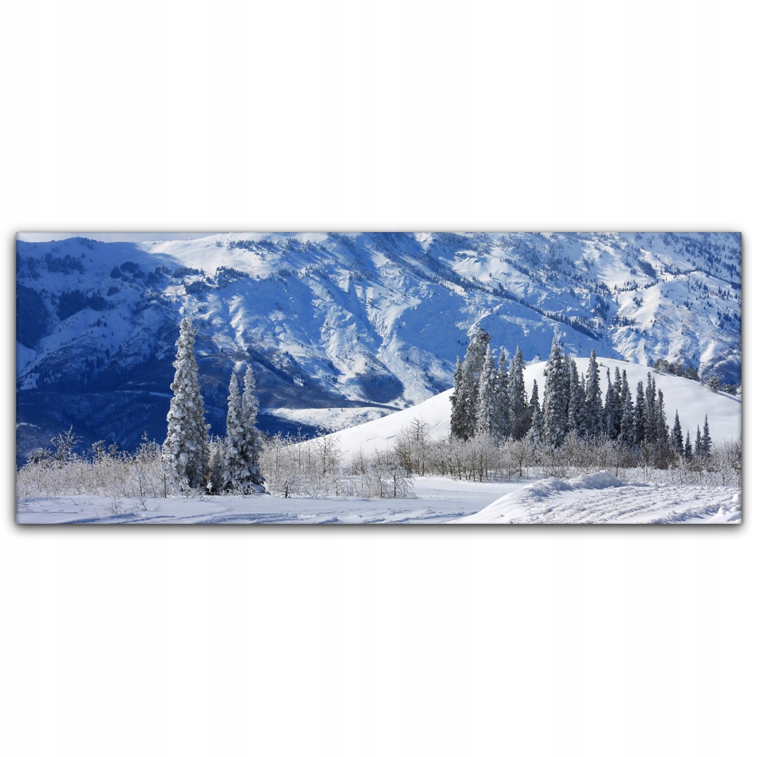 

Obraz płótno z foto 125x50 Góry Śnieg Zima Natura