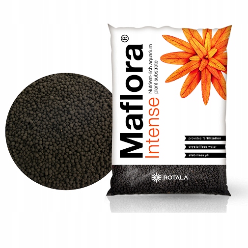 Levně Rotala Maflora Intense Normal 10L
