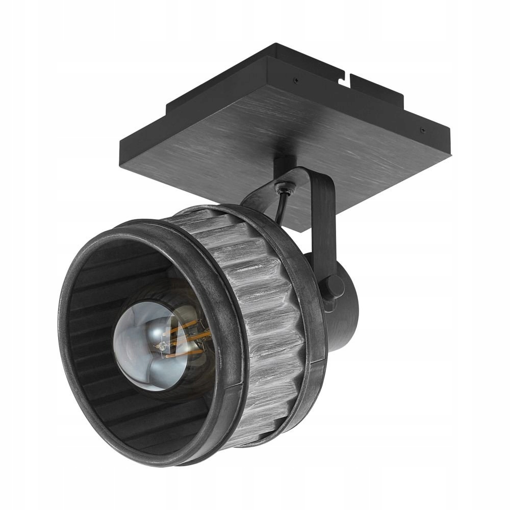 Lampa reflektor spot Turrock 43444 Eglo