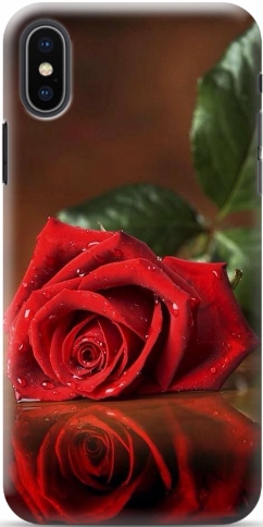

Case Etui Samsung Galaxy S20 Fe Kwiaty Róże