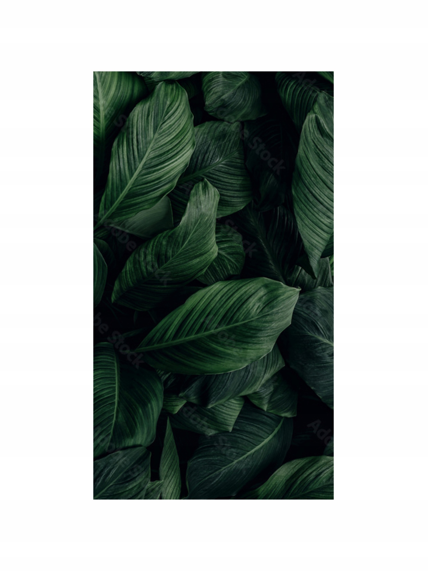 Vertikálny Dekoratívny Radiátor S Obrázkom 970/545 ART04