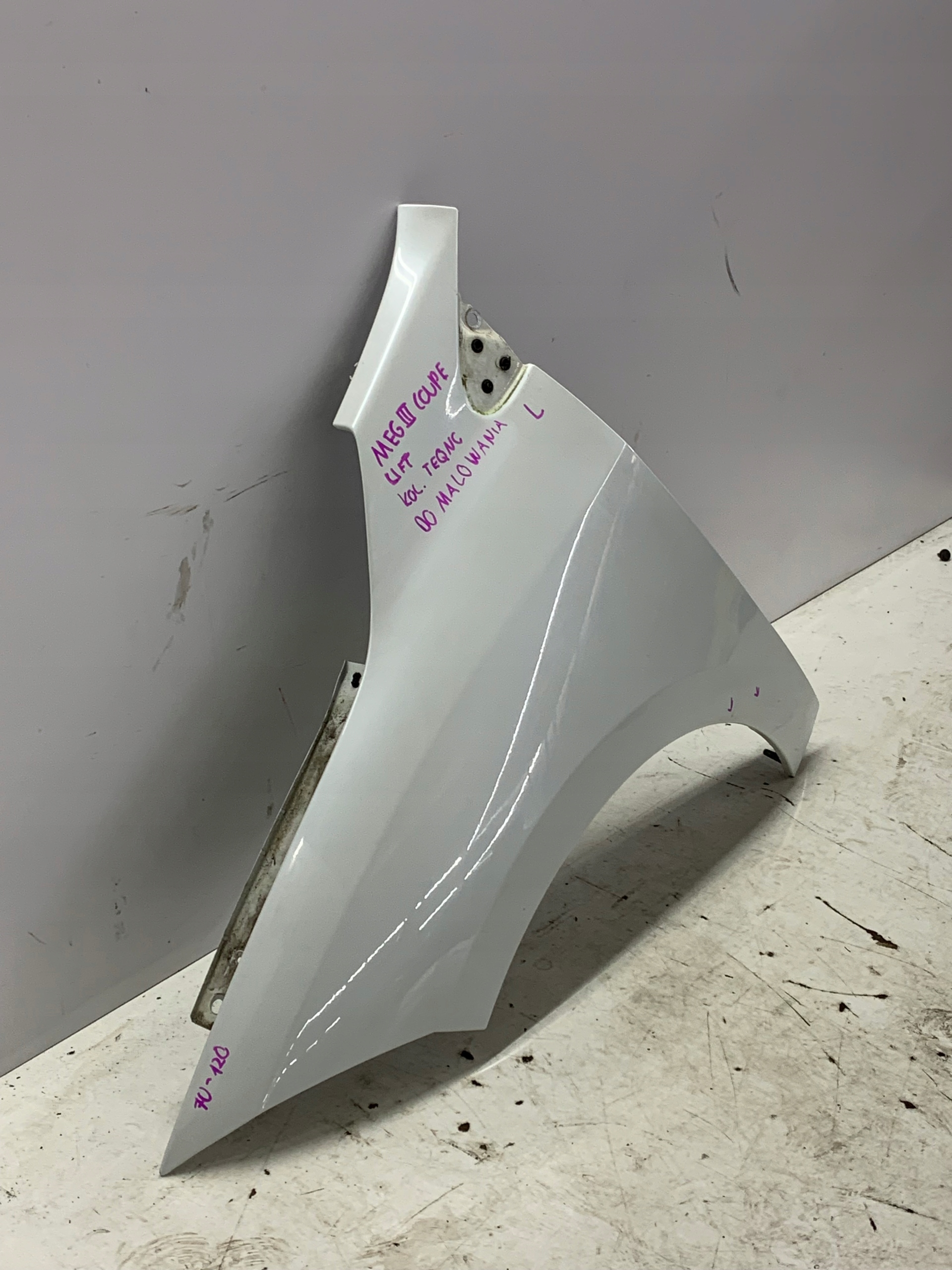 fender left front RENAULT MEGANE III COUPE GT LINE 2012 TEQNC