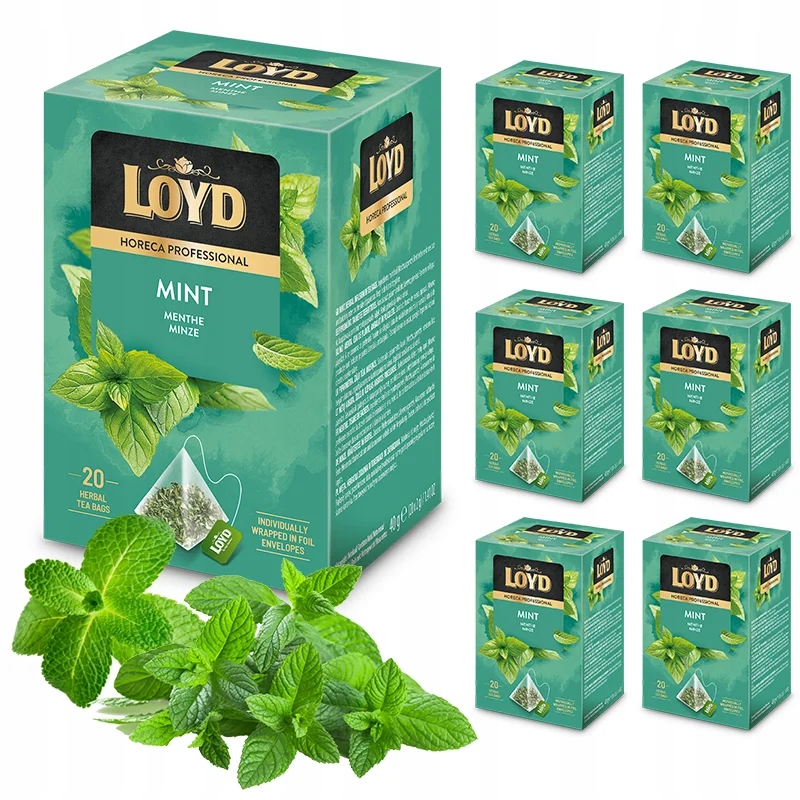 6 sztuk Zestaw Ekspresowa Herbata Loyd Horeca Ziołowo Miętowa 20