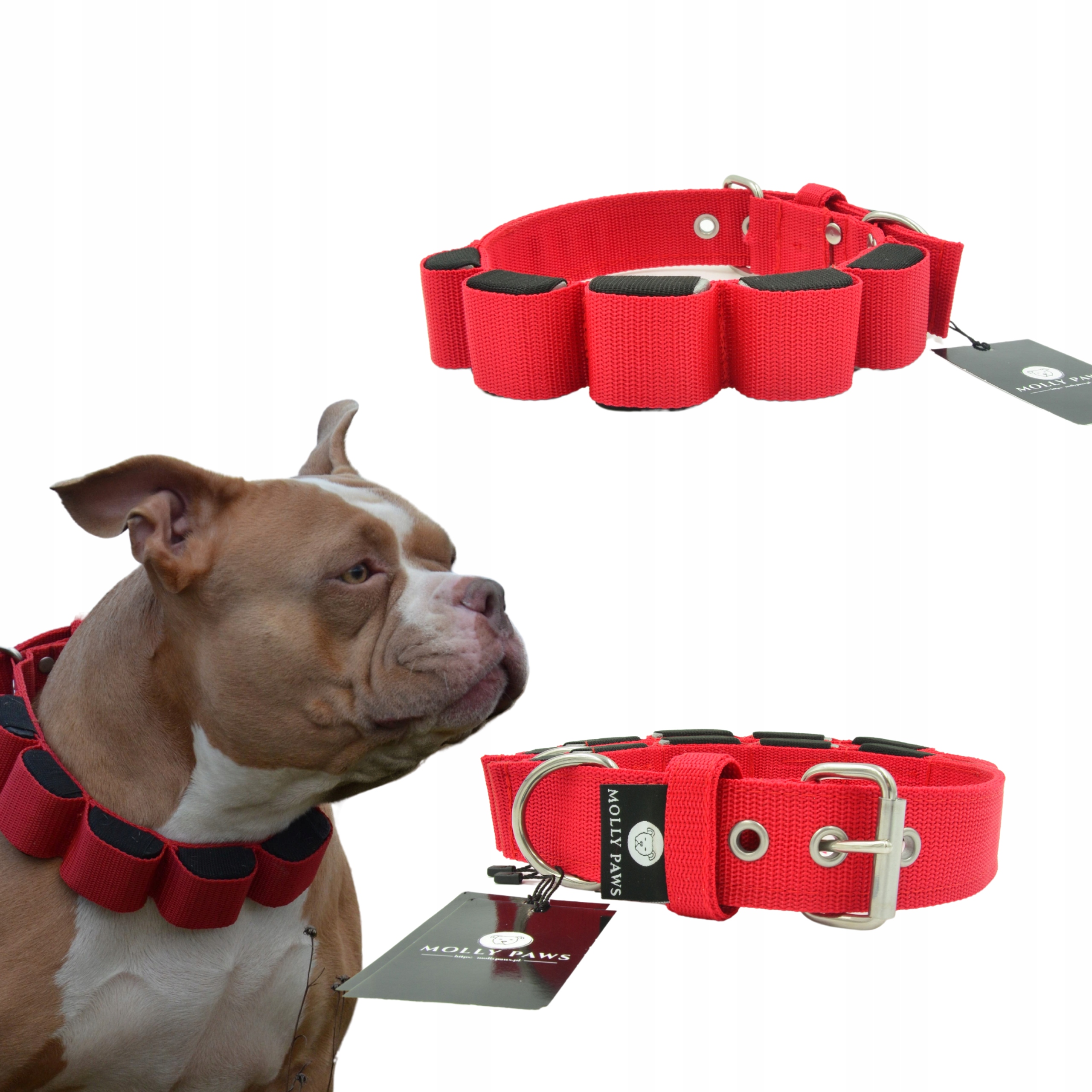 Levně Obojek pro psa s váhou, velikost 53 cm-61 cm, Všechny Barvy