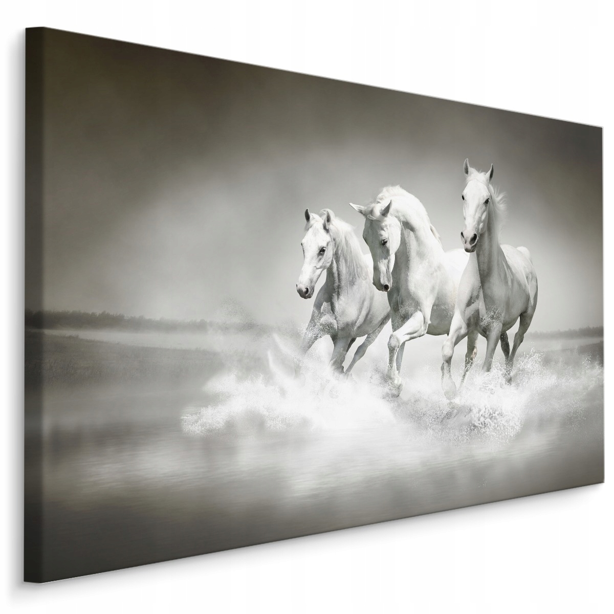 

Obraz na korytarz czarno białe konie galop 120x80