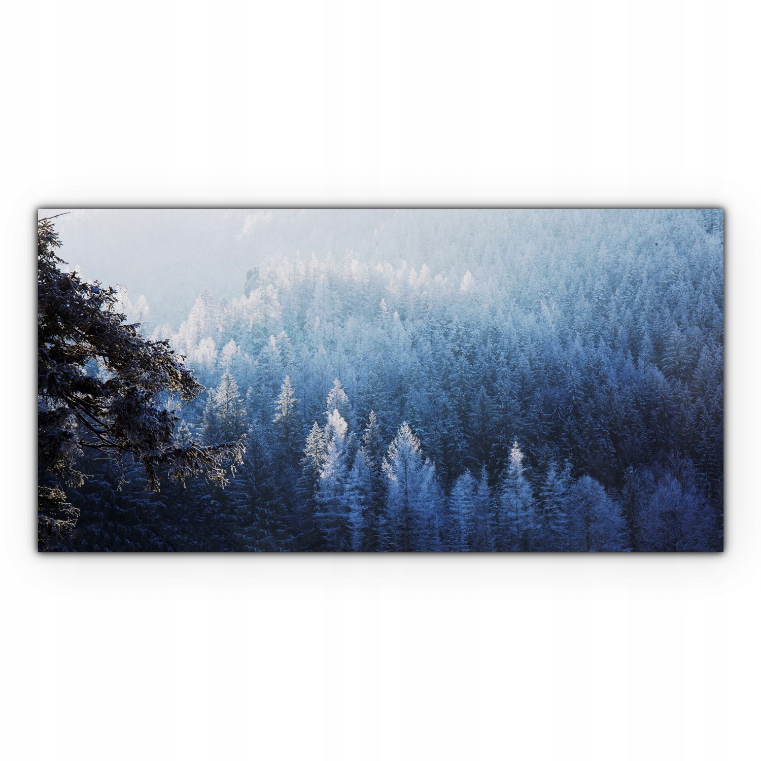 

Canvas na ramie ścienny 120x60 Las Zima Góry Śnieg