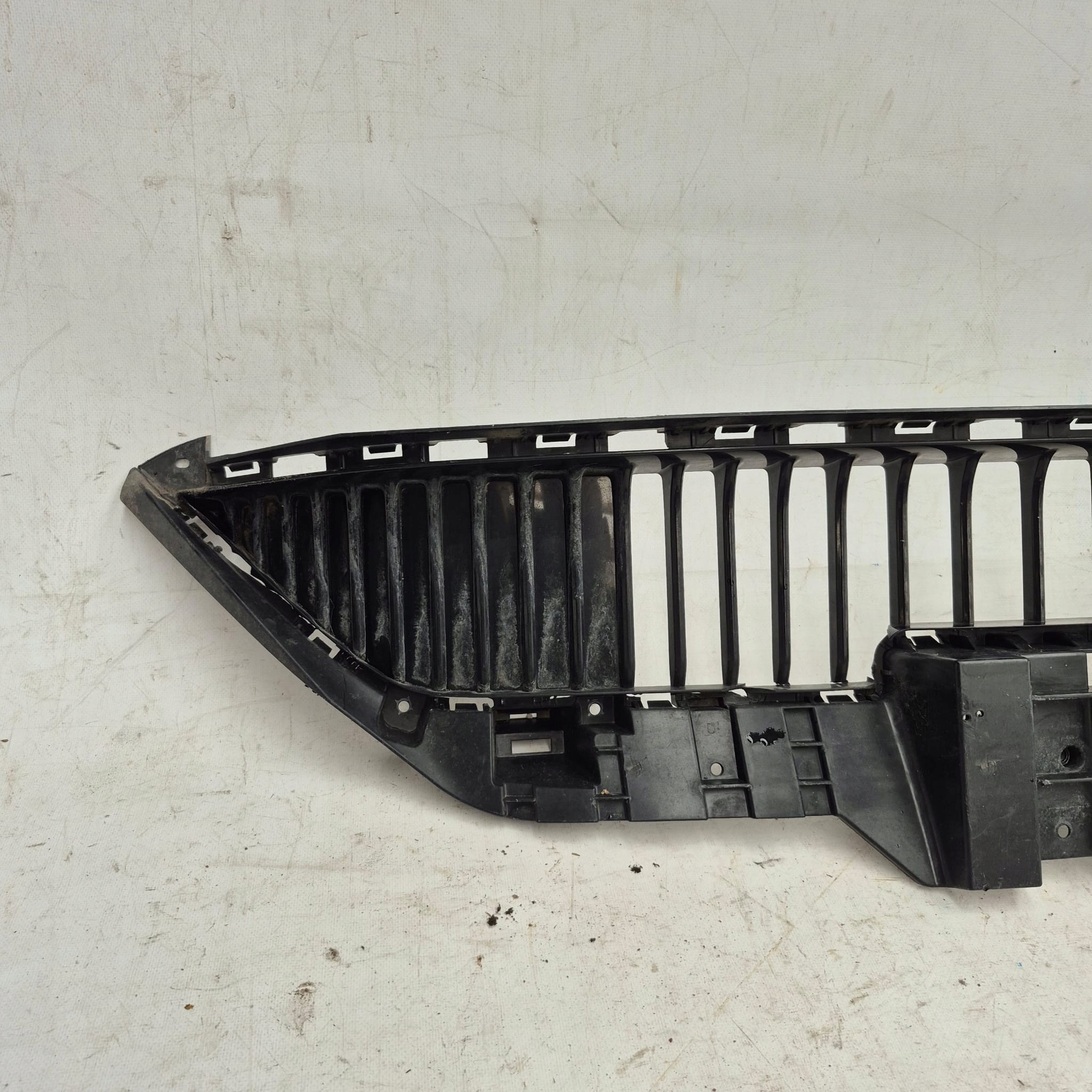 ROEWE i5 MG 5 EV LIFT 21- grid of a bumper front front 10854292