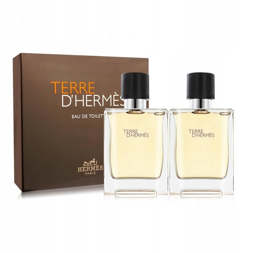 Hermes Terre D'Hermes set toaletná voda 50ml + toaletná voda 50ml