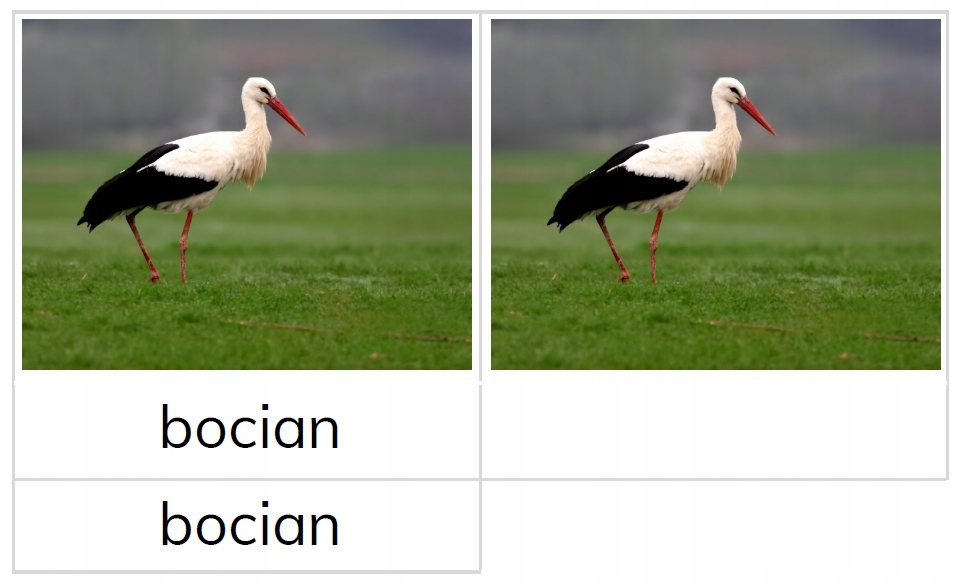Karty trójdzielne PTAKI PRZYLATUJĄCE WIOSNĄ x14 Marka Olipoli