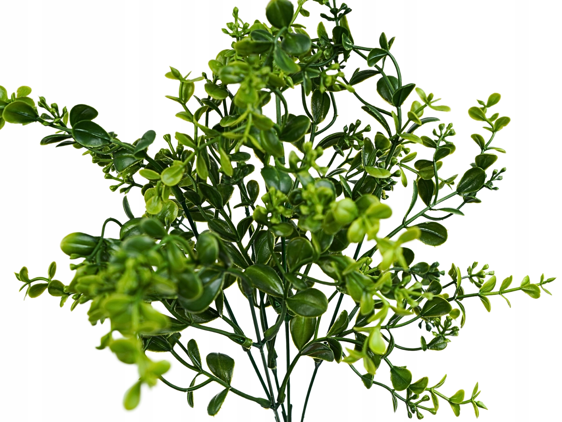 SZTUCZNA ROŚLINA ZIELONA DROBNE LISTKI MINI BUKSZPAN GAŁĄZKA DO STROIKÓW Wysokość maksymalna 35 cm