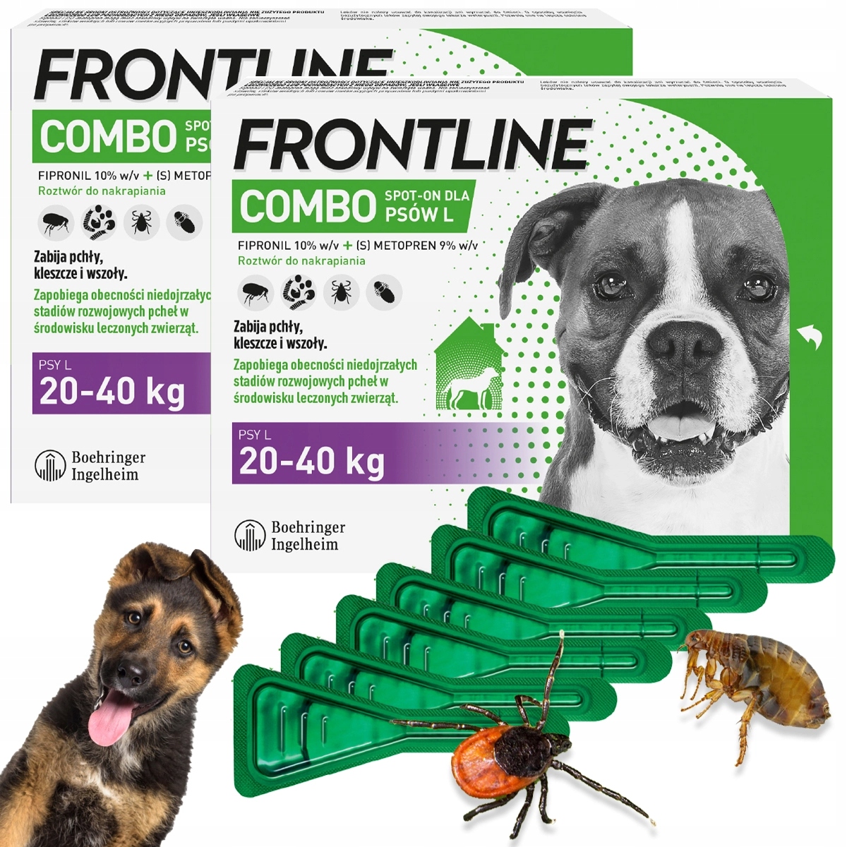Frontline Combo L 6 x krople Kleszcze Pchły dla dużego Psa 20-40 kg 180 dni