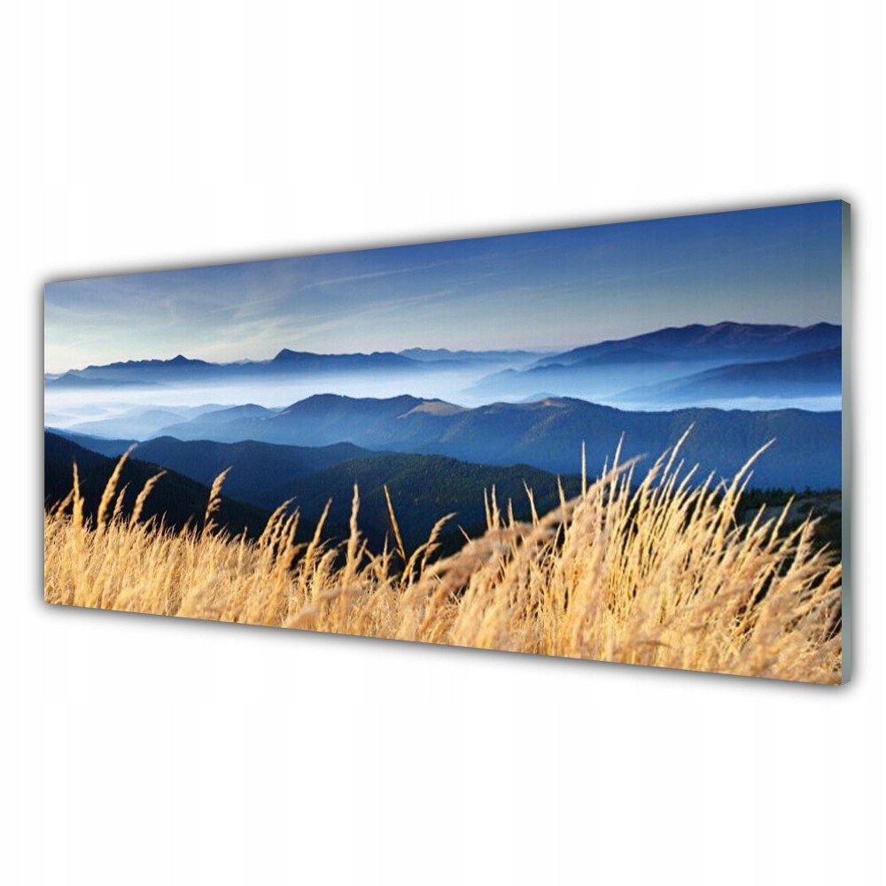 

Fotoobraz akryl z nadrukiem 125x50 Pole Krajobraz