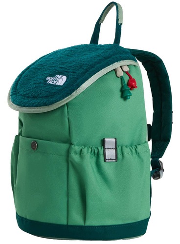 Plecak The North Face Youth Mini Explorer Backpack algae moss teal