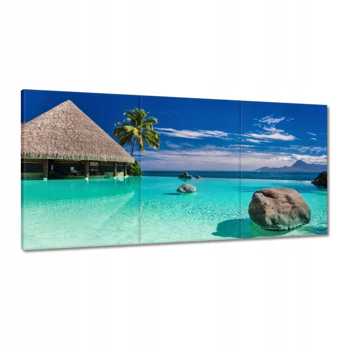 Obrazy 120x60 Tropy Krajina Palmy