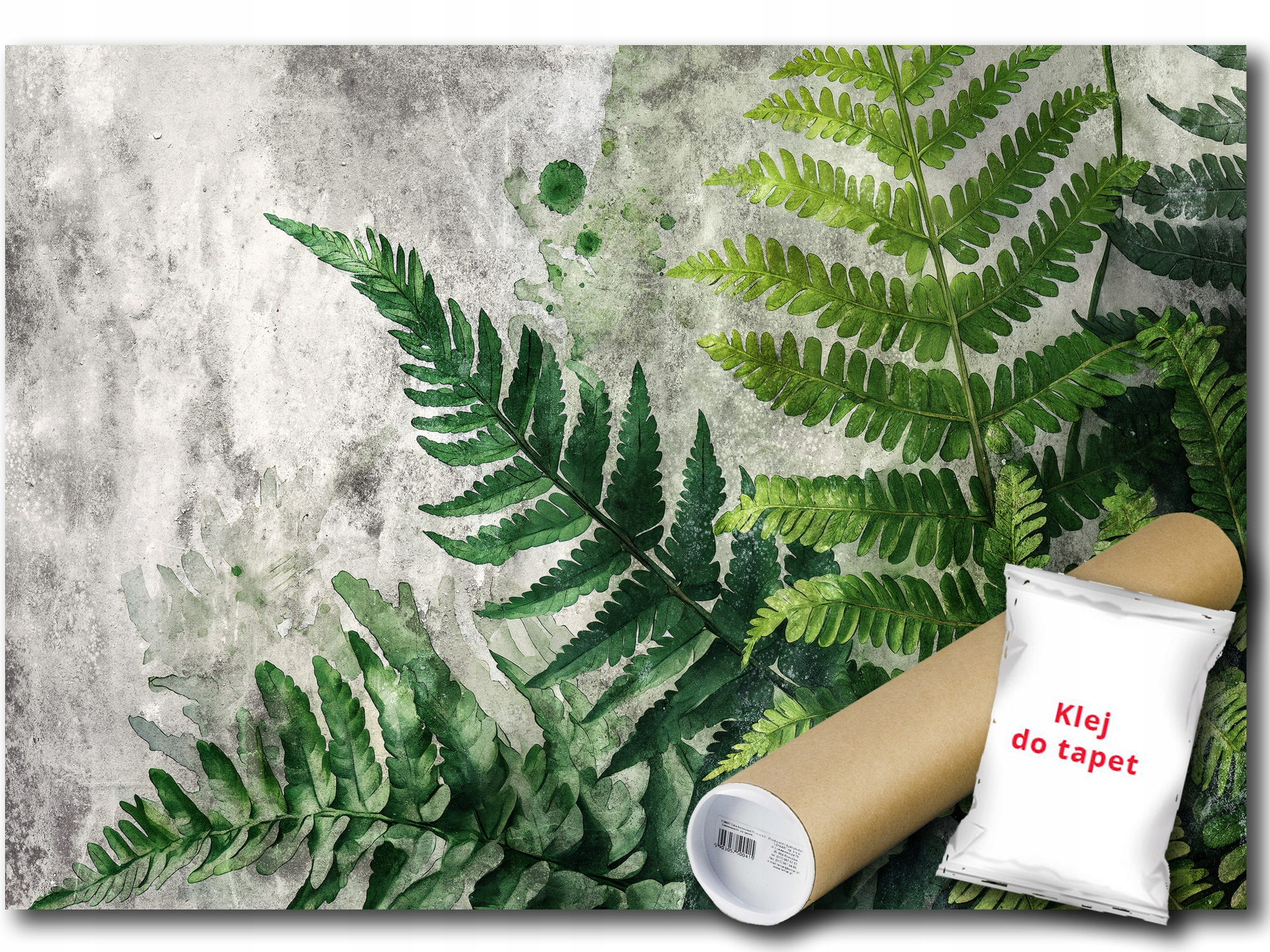 Vinylová Fototapeta Struktura Beton Listy Zeleň Kapradí 416x290