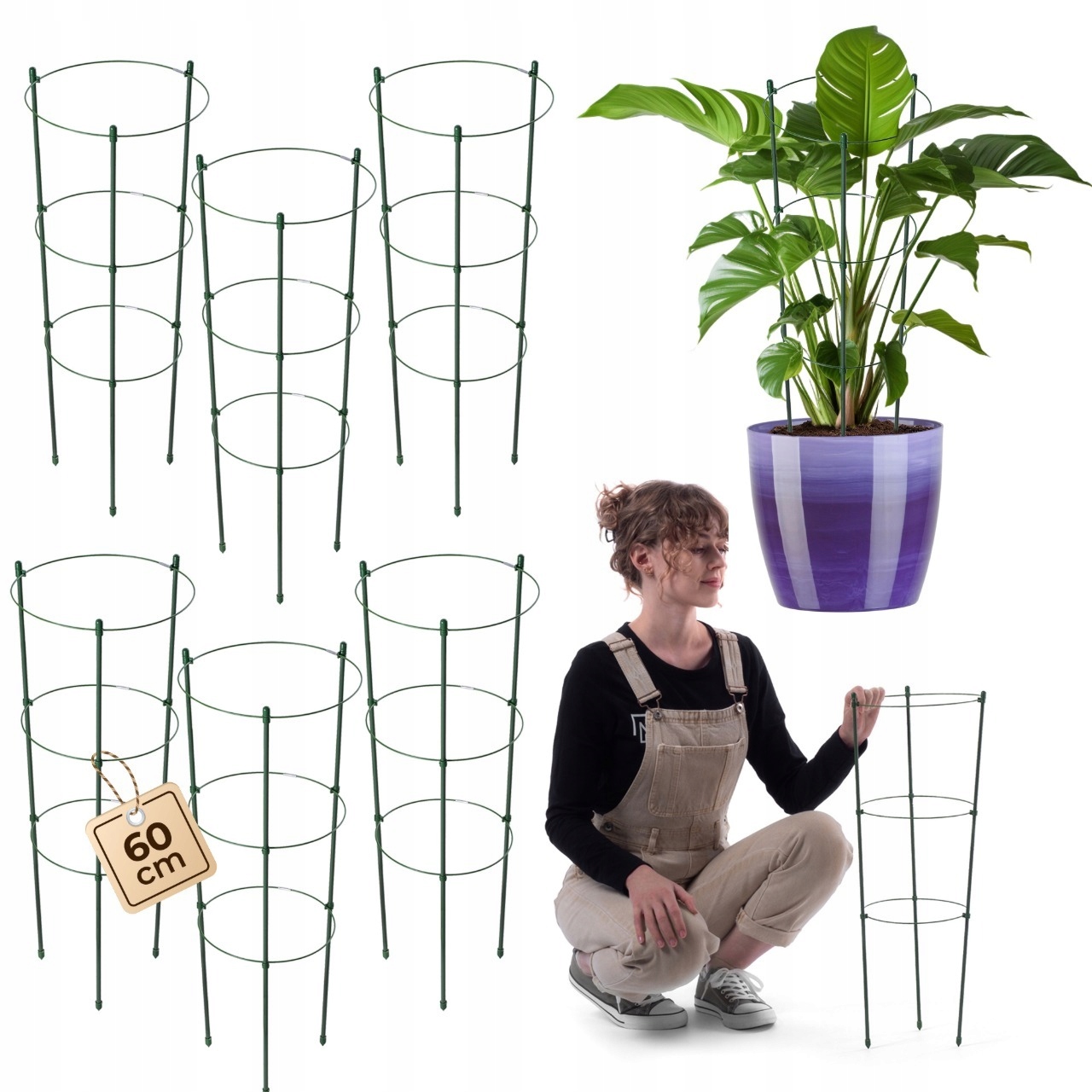 PODPORA PIERŚCIENIOWA DO ROŚLIN KWIATÓW 60cm METALOWA PODPÓRKA OBRĘCZE 6szt