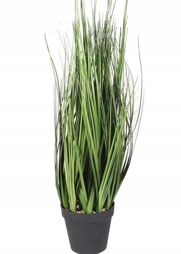 

Trawa dekoracyjna w doniczce 61cm