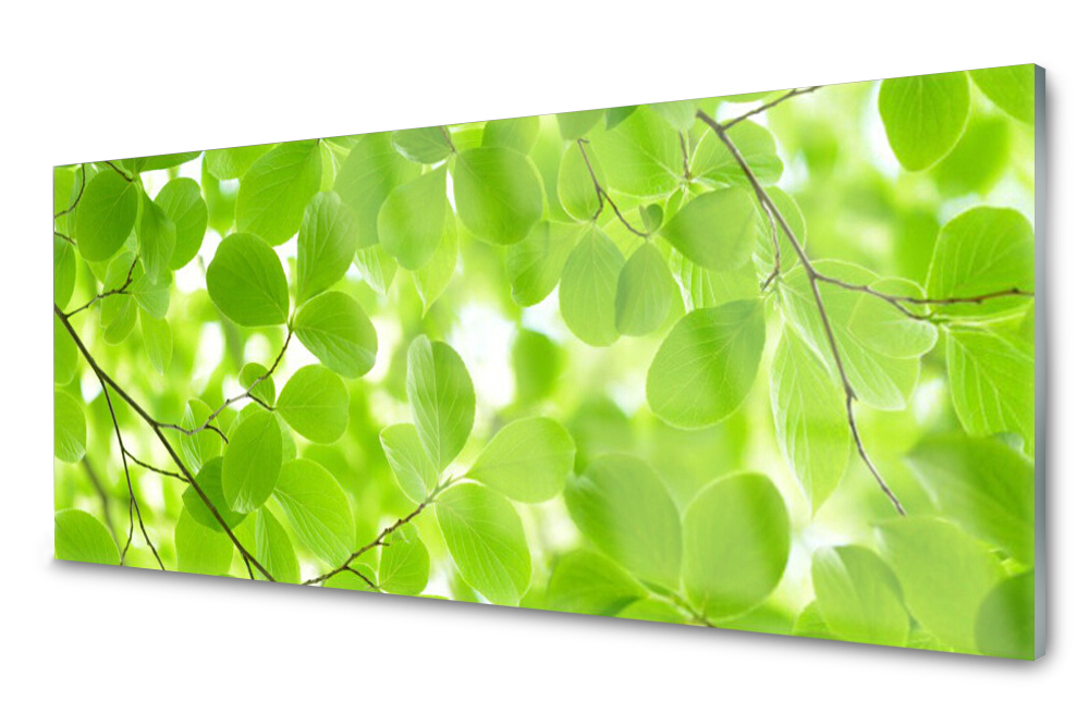 

Panel szklany do kuchni Dekor Liście 125x50