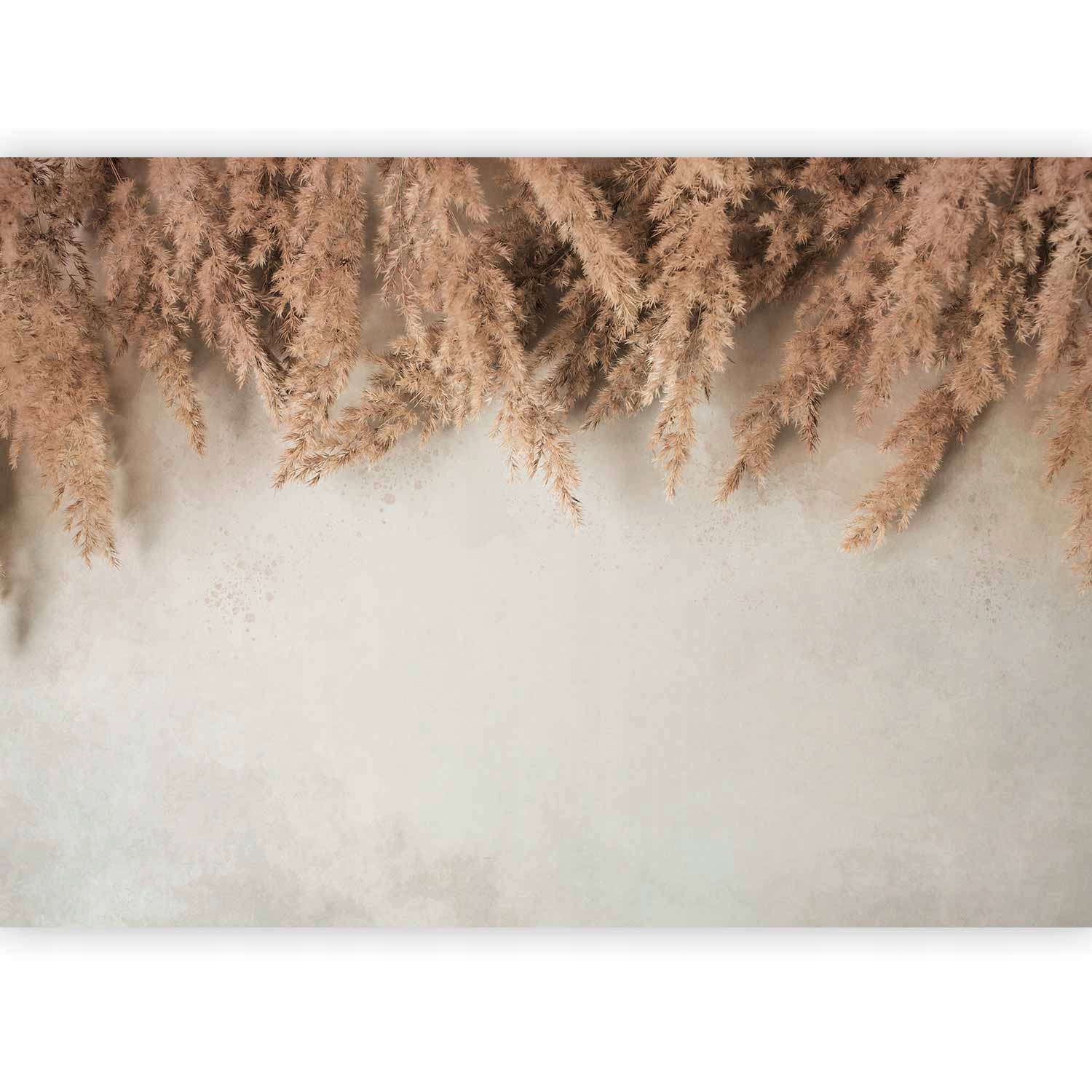Fototapeta Do Obývacího Pokoje Tráva Pampasová Boho Jemná Na Zeď 300x210