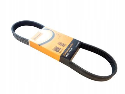 

Conti Pasek Wieloklinowy 6PK1605 Astra H 1.7 Cdti