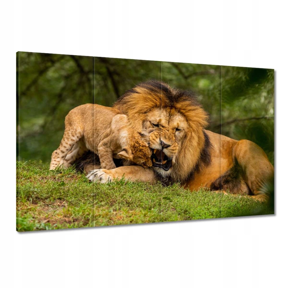 Obrazy 120x80 Zvířata Zvířátka