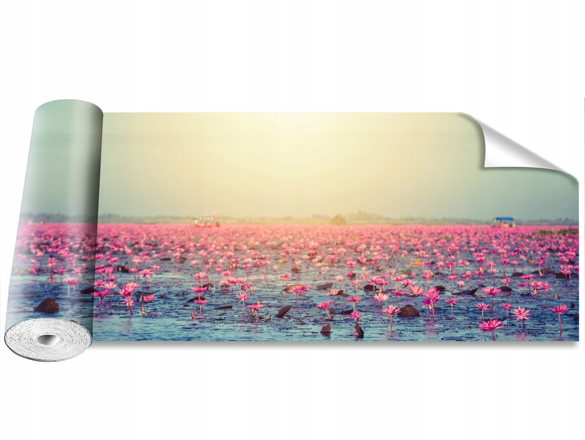 

Tapeta Samoprzylepna Lilie wodne Staw 250x104