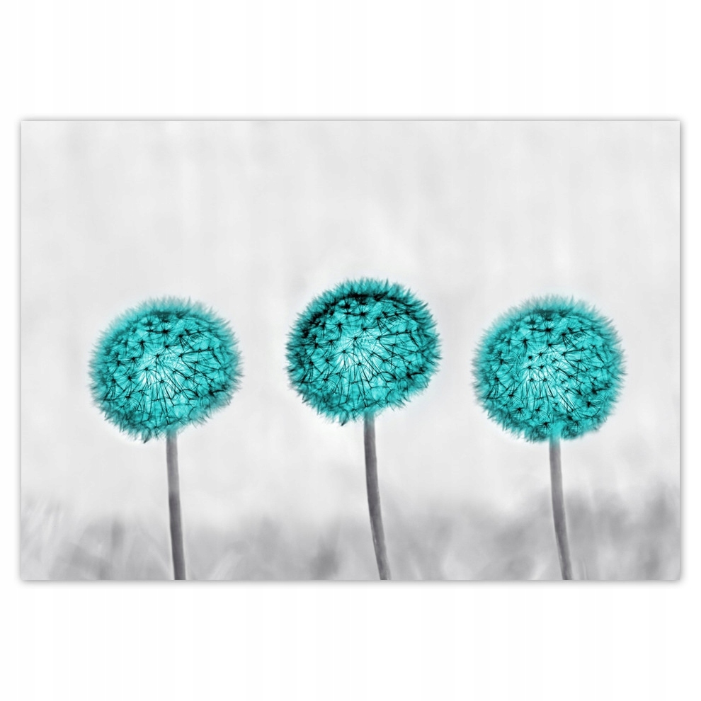 

Fototapety flizelina 416x290 Dmuchawce