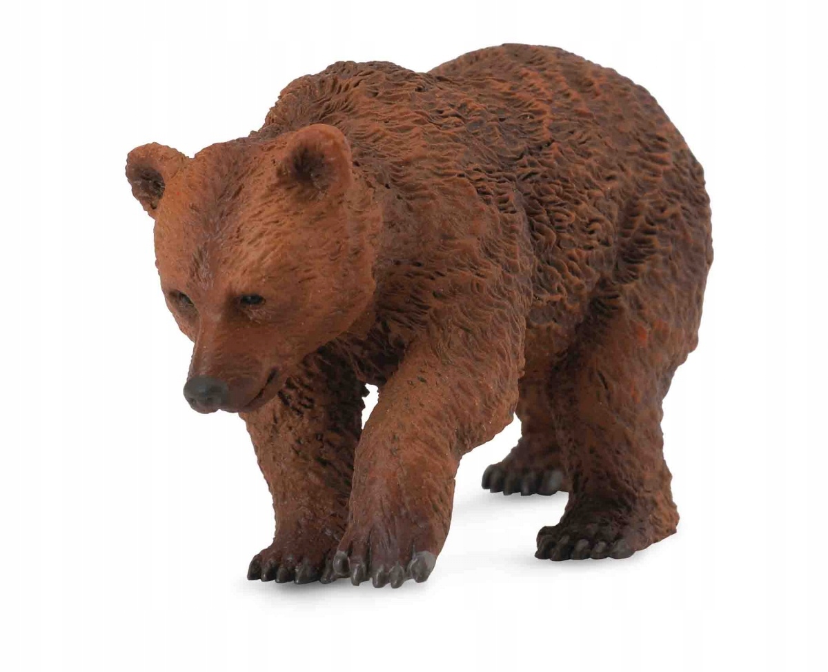 

Niedźwiedź Brązowy Młody CollectA 88561