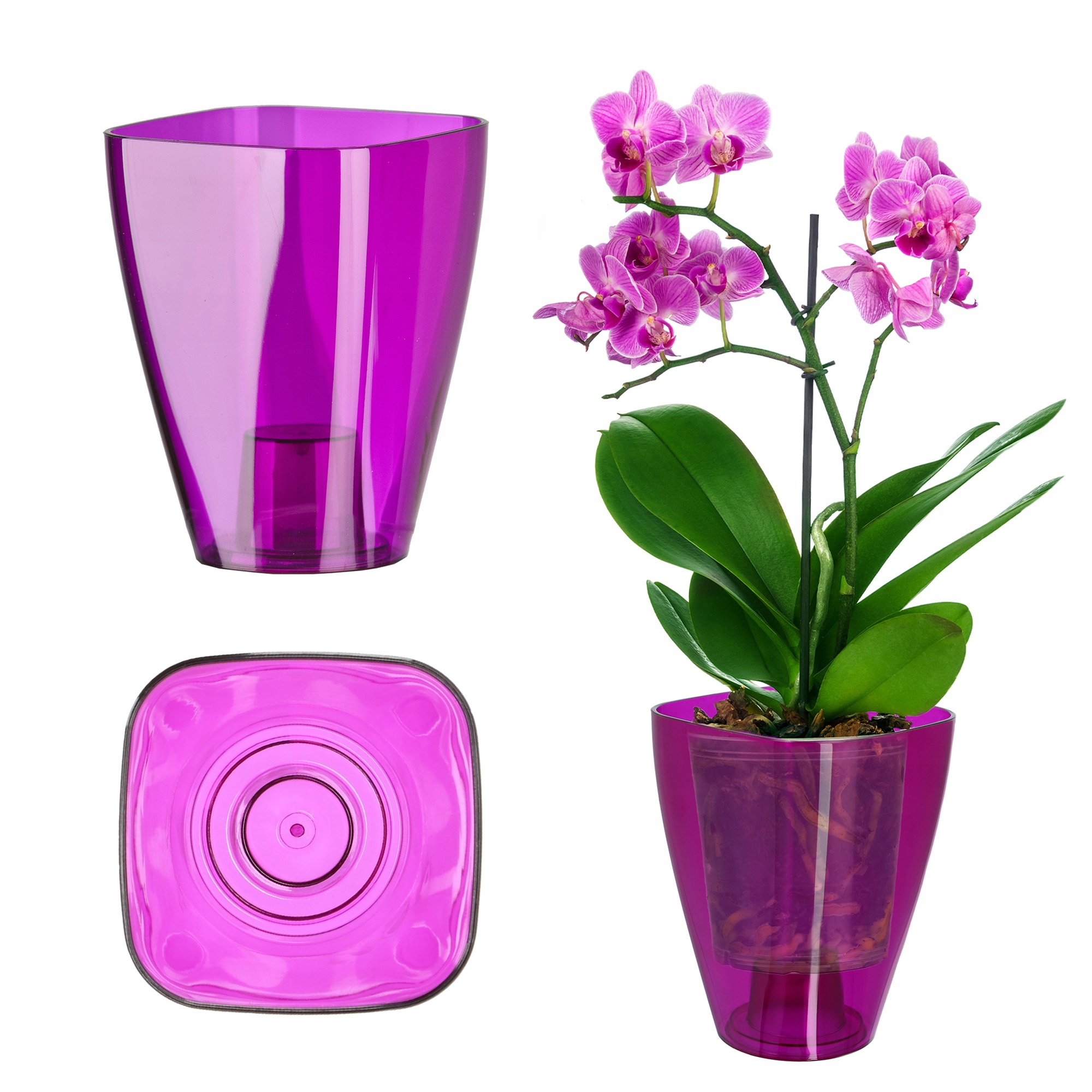 DONICZKA OSŁONKA NA STORCZYK KWIETNIK PLASTIKOWA ROŚLINY 9CM FIOLETOWA Kształt kwadratowy