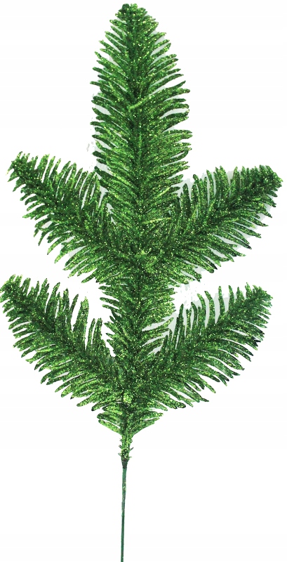 

Jodła Gałązka Jodły Brokatowa Zielona