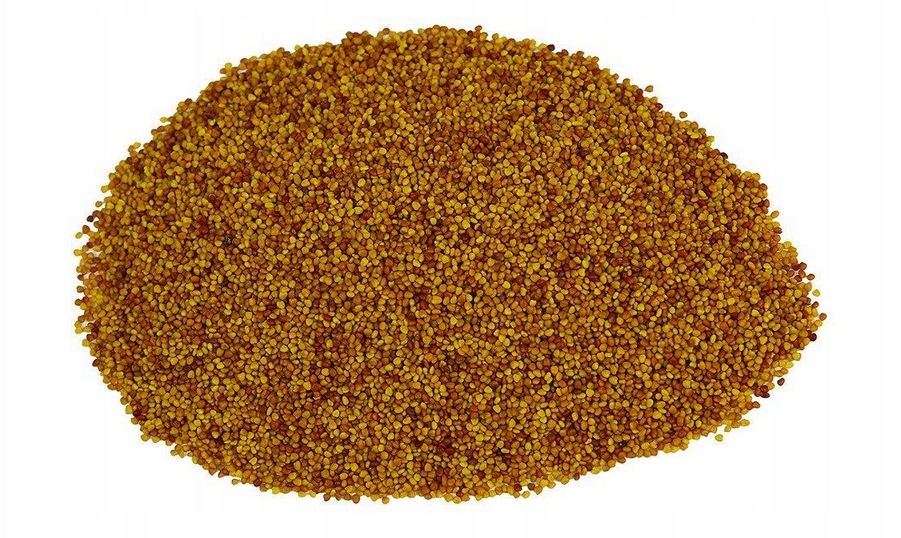Koniczyna czerwona paszowa 1kg