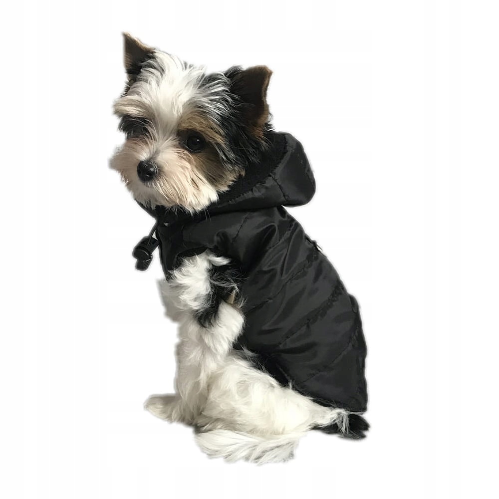 

Ręcznie szyta kurtka sportowa XXXXL Shih Tzu