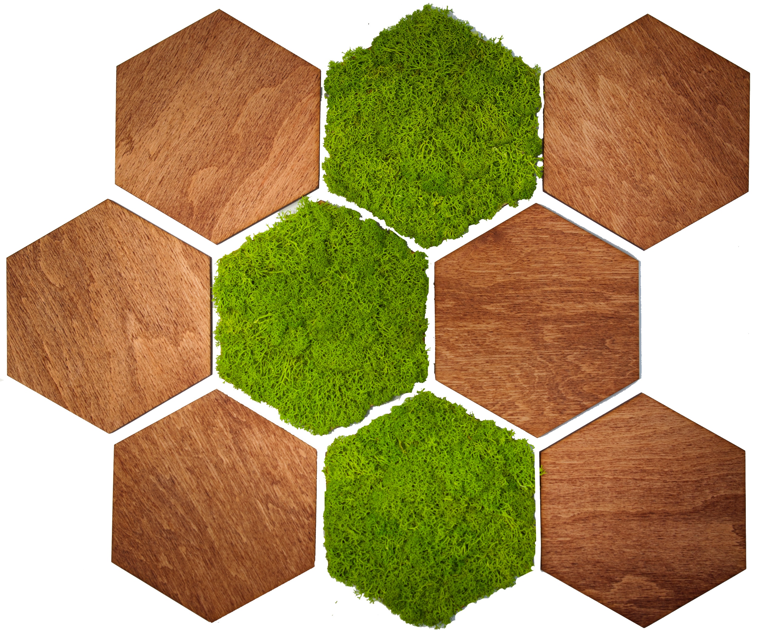 

Panele Ścienne Drewniane Mech Chrobotek Mahoń