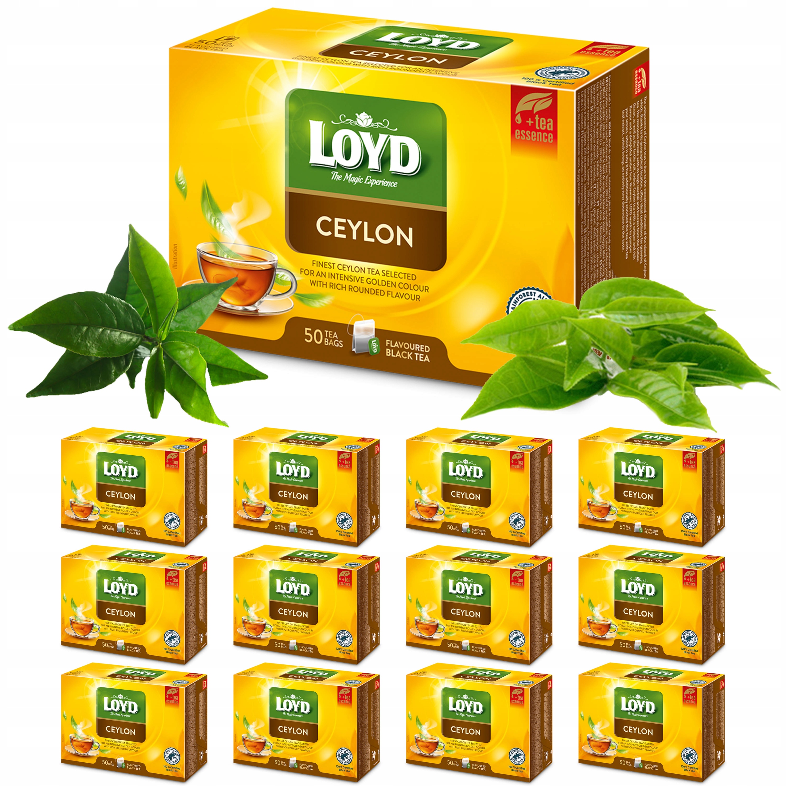 12 sztuk Klasyczna Czarna Herbata Ekspresowa Black Tea Ceylon 50T Loyd
