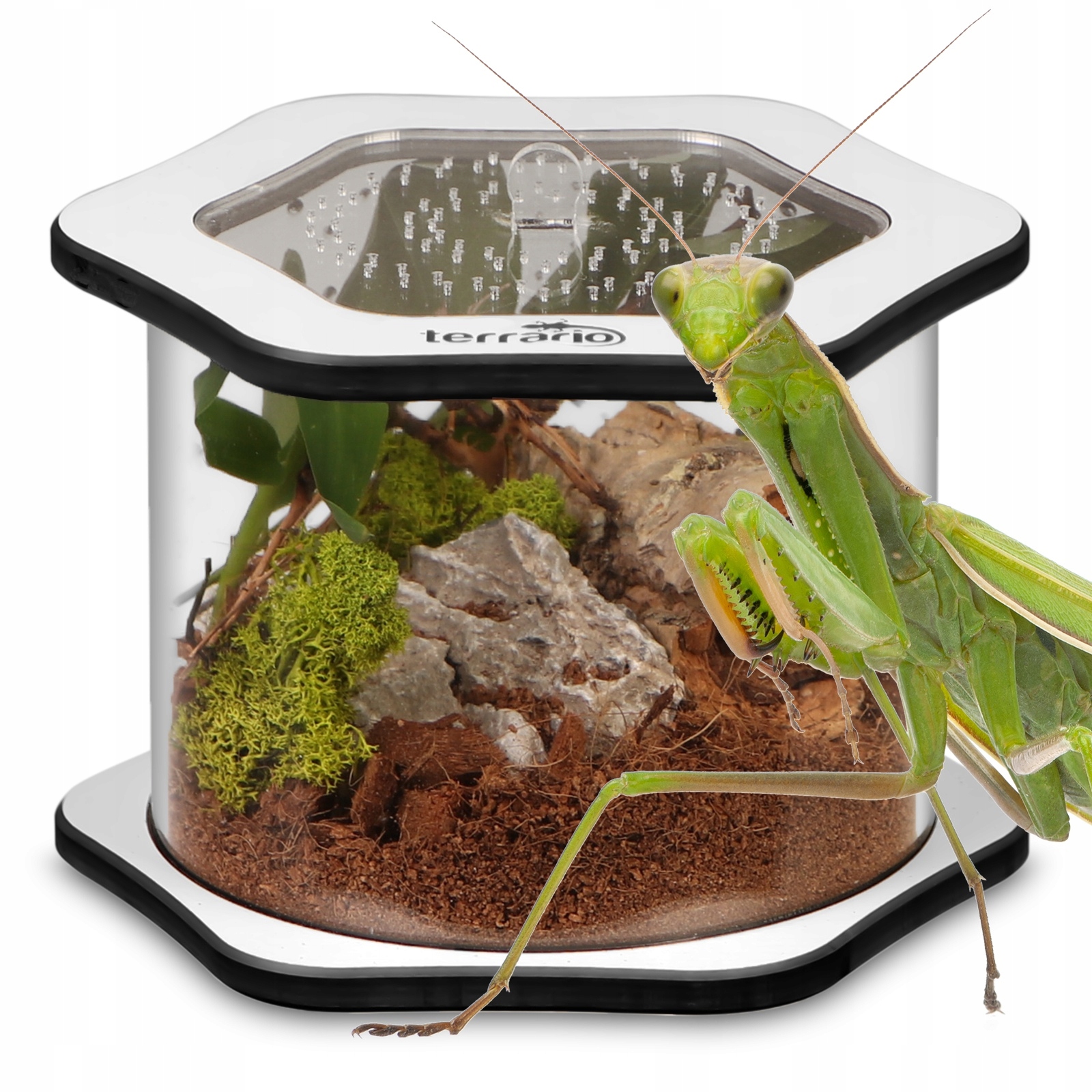 Levně Akrylové Terárium S Moderním Řešením Terrario Spiders Tube BIG100