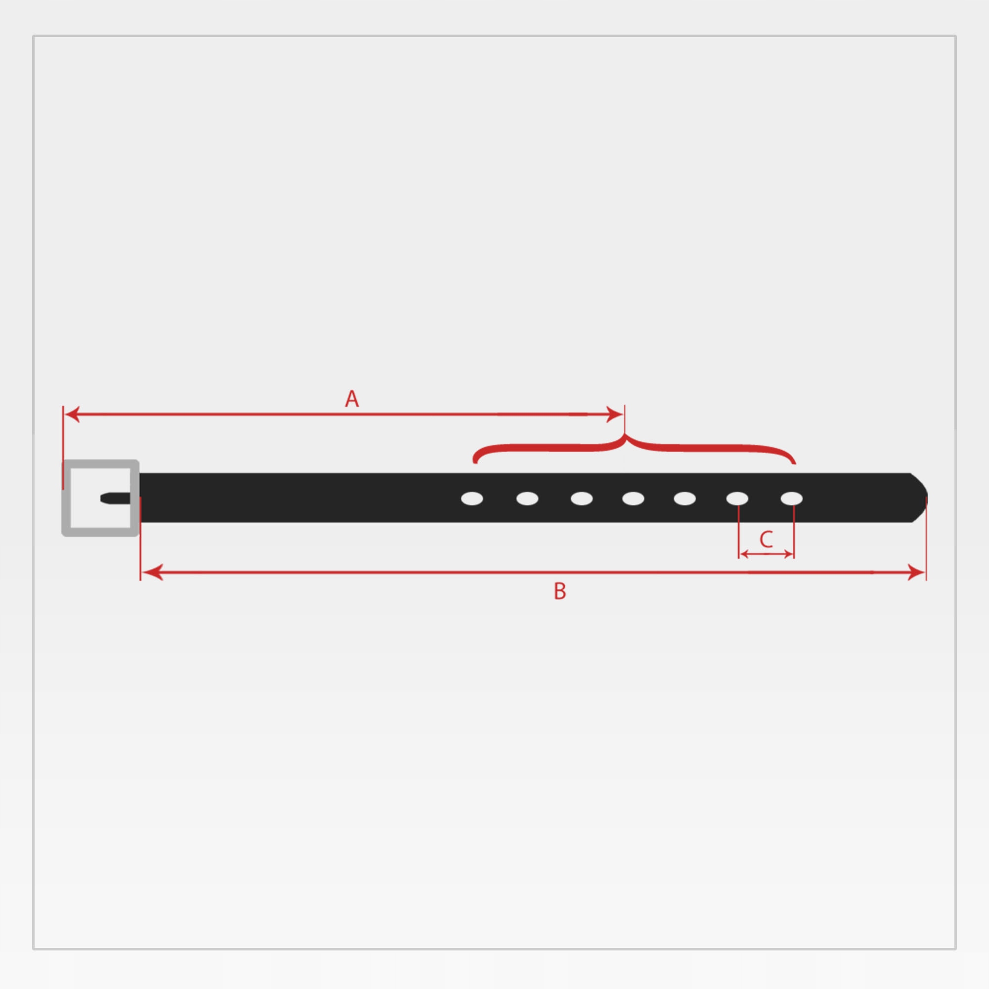 PASEK MĘSKI SKÓRZANY STEVENS BRAZ LICO X2 Q2-V Płeć mężczyzna