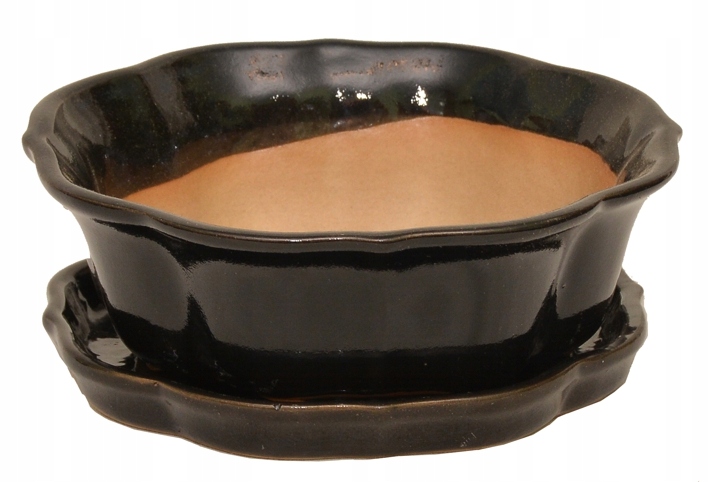 DONICZKA NA BONSAI Z PODSTAWKĄ