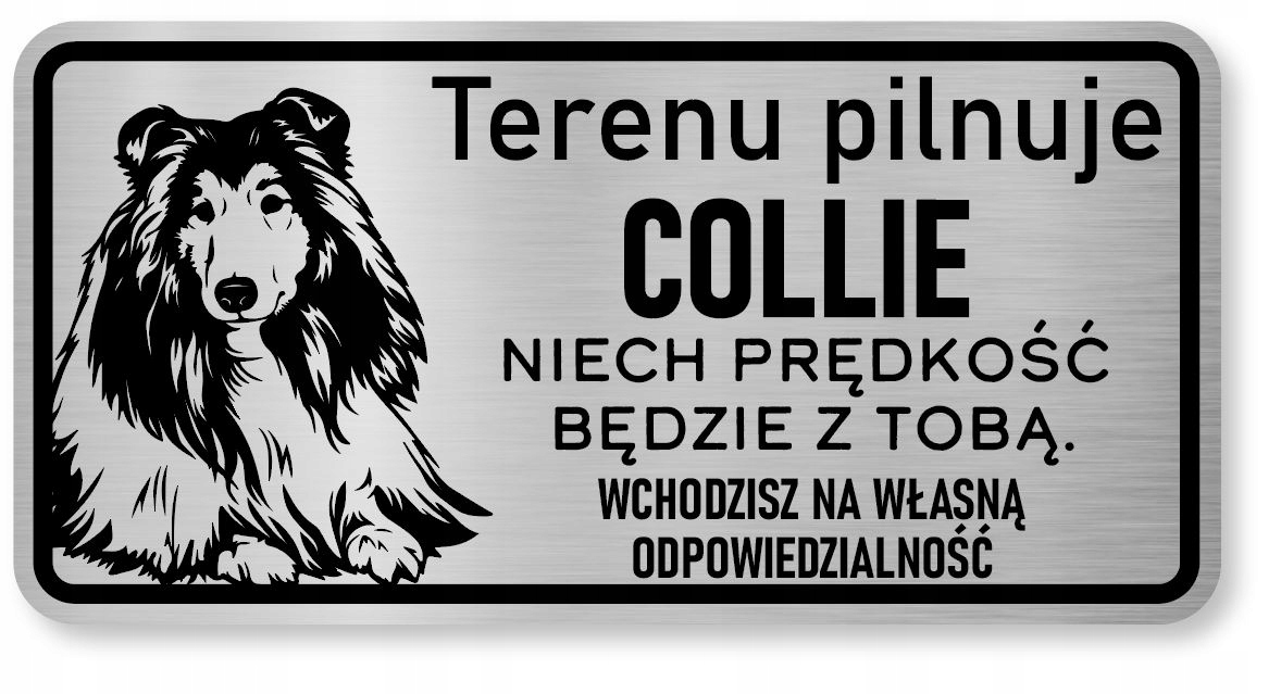 

Tabliczka uwaga pies Collie