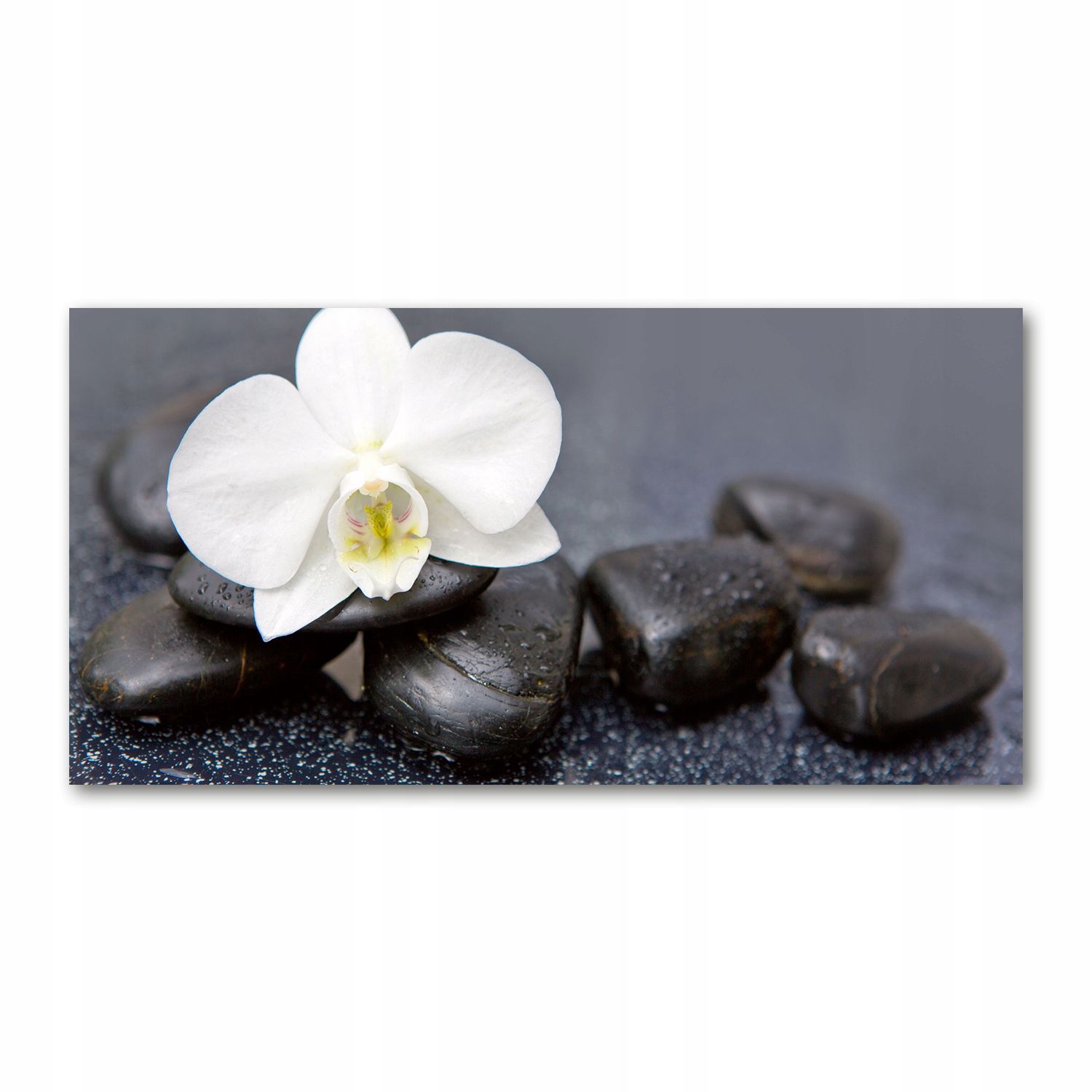 

Foto obraz duży akryl nowoczesny Orchidea 120X60cm