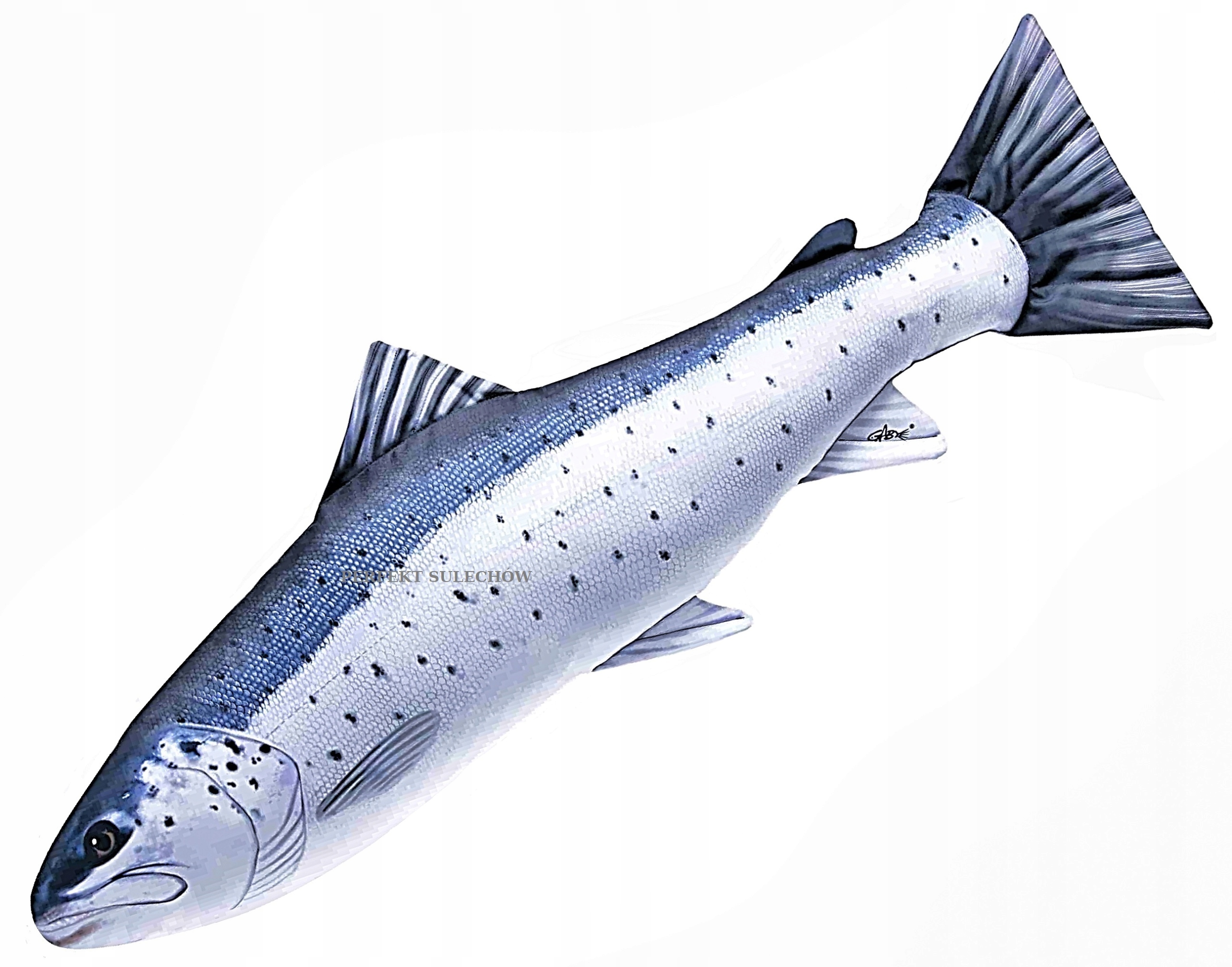 

Poduszka Maskotka Troć 110 cm