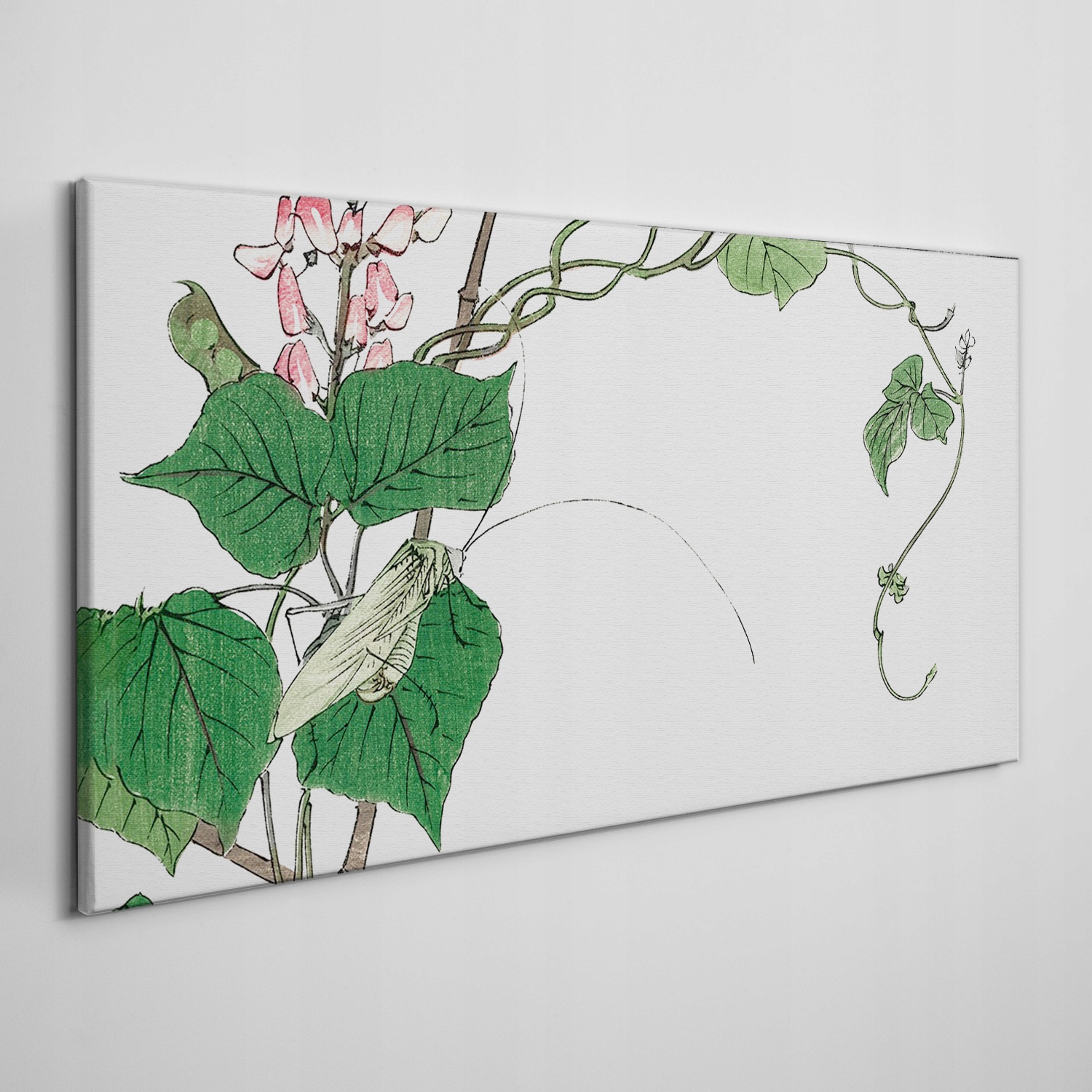 

Foto-obraz na płótnie Liście owady kwiaty 120x60