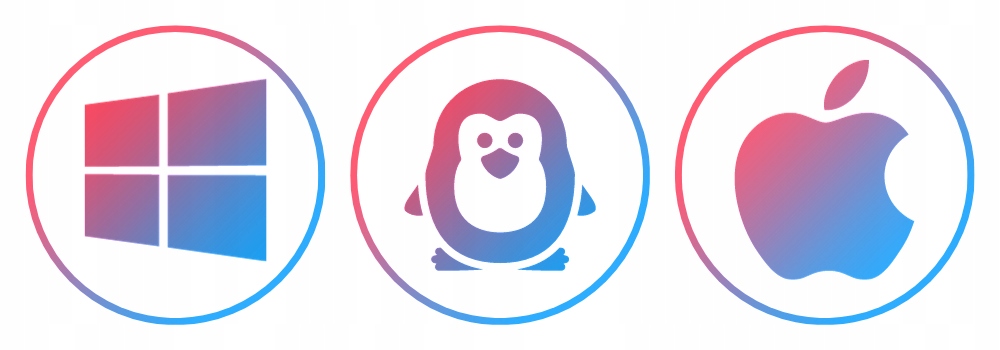 KARTA SIECIOWA ADAPTER WIFI USB 802.11n/b/g 150Mbps PLUG & PLAY szybka Rodzaj karty wewnętrzna