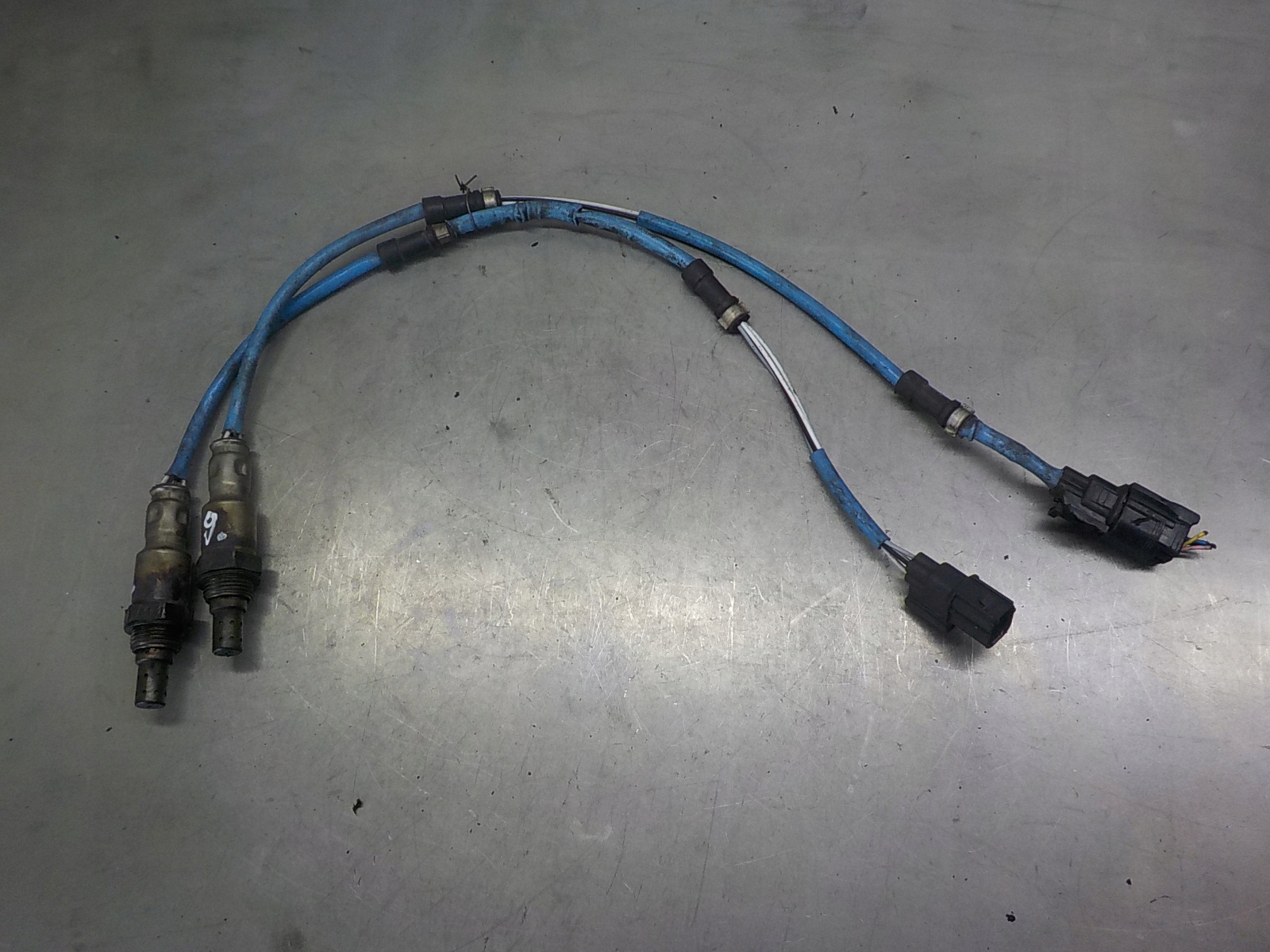 HONDA CIVIC VIII SONDA LAMBDA 644-H24