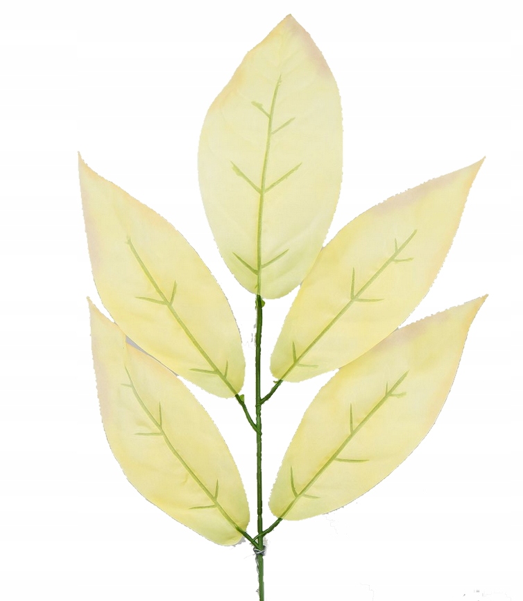 

Liść Dekoracyjny Żółty Sztuczny 55cm