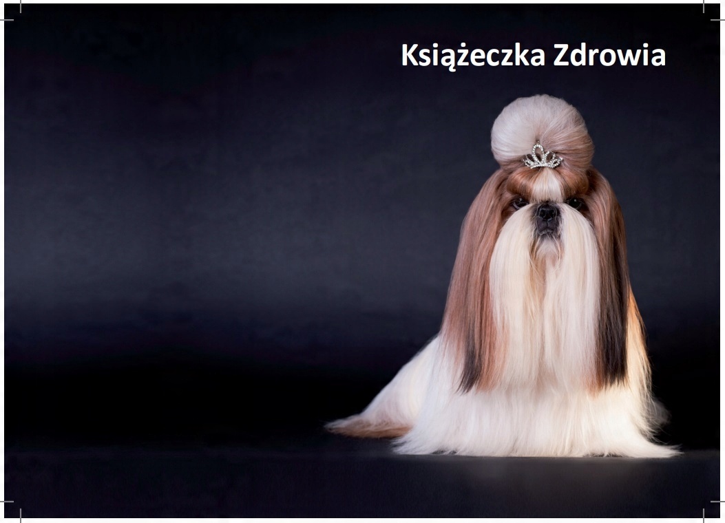 

Książeczka zdrowia psa Shih Tzu